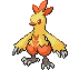 Combusken