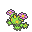 Maractus